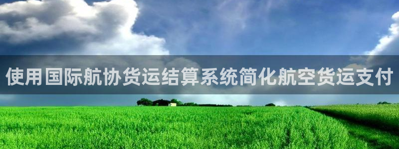 尊龙集团有限公司地址：使用国际航协货运结算系统简化航空货