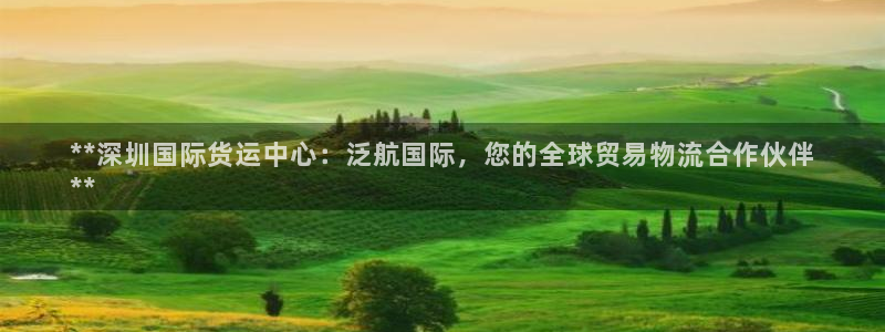 尊龙凯时取款24小时不到账：**深圳国际货运中心：泛航国