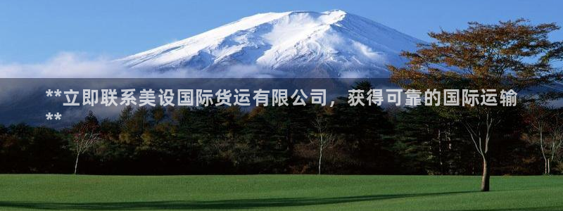 尊龙旗舰厅：**立即联系美设国际货运有限公司，获得可靠的