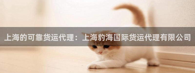 尊龙l1500：上海的可靠货运代理：上海豹海国际货运代理