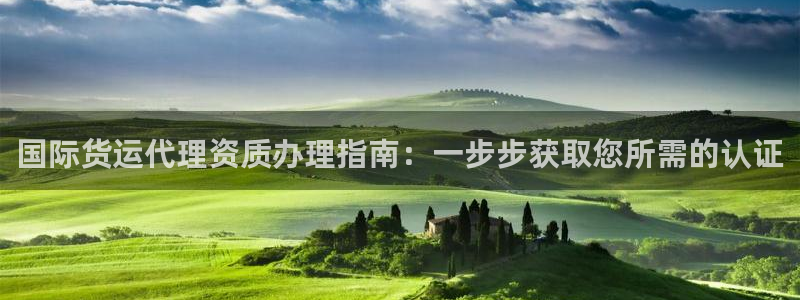尊龙专访：国际货运代理资质办理指南：一步步获取您所需的认