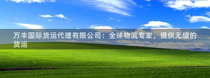尊龙 中国：万丰国际货运代理有限公司：全球物流专家，提供
