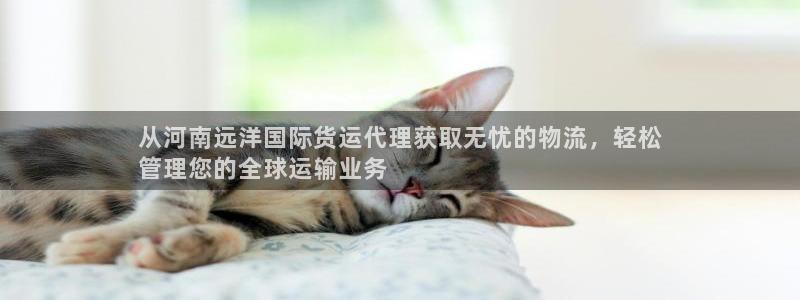 尊龙凯时集团：从河南远洋国际货运代理获取无忧的物流，轻松