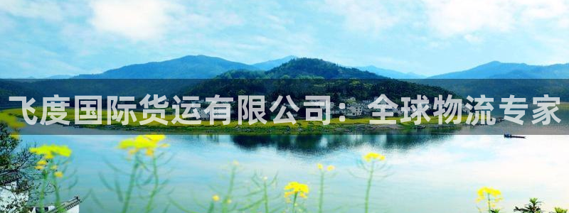 尊龙凯时旗舰厅官网：飞度国际货运有限公司：全球物流专家