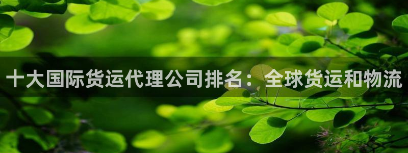尊龙凯时-人生就是博中国官网：十大国际货运代理公司排名：