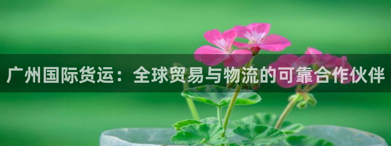 尊龙人生就是博中国区：广州国际货运：全球贸易与物流的可靠