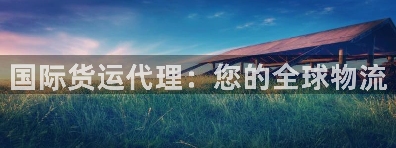 尊龙官网：国际货运代理：您的全球物流