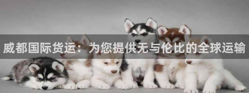 尊龙实业有限公司：威都国际货运：为您提供无与伦比的全球运