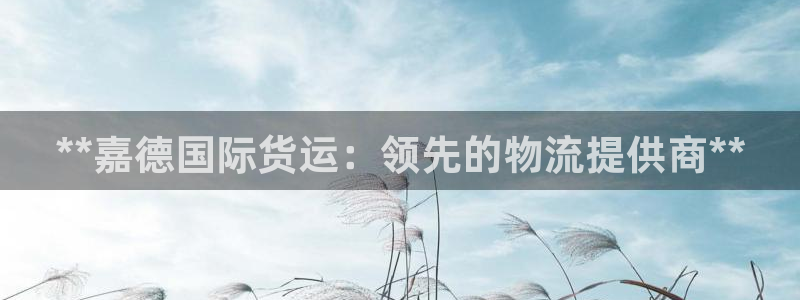 尊龙凯时下载人生就是博：**嘉德国际货运：领先的物流提供