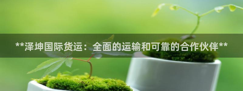 尊龙人生就是博i可靠吗：**泽坤国际货运：全面的运输和可
