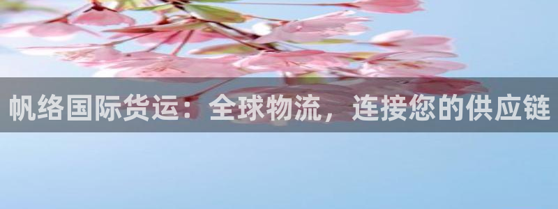 尊龙t200：帆络国际货运：全球物流，连接您的供应链