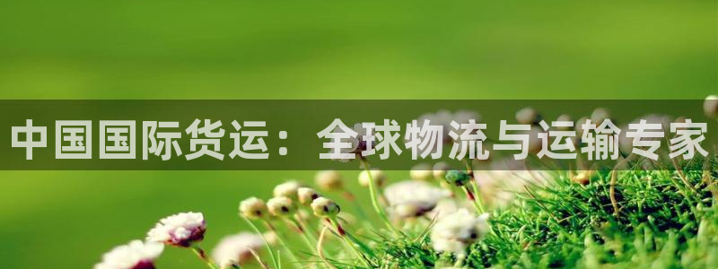 尊龙专访视频：中国国际货运：全球物流与运输专家