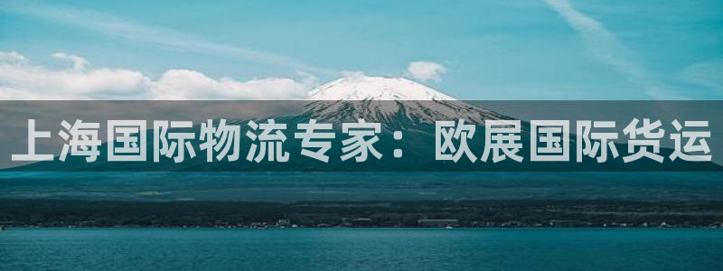 尊龙凯时 - 人生就是搏!提款怎么样：上海国际物流专家：