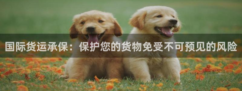 尊龙凯时 人生就是搏客服：国际货运承保：保护您的货物免受
