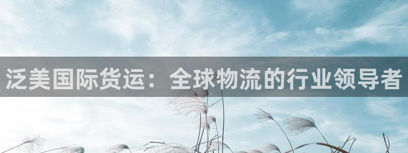 尊龙凯时凯发官网：泛美国际货运：全球物流的行业领导者