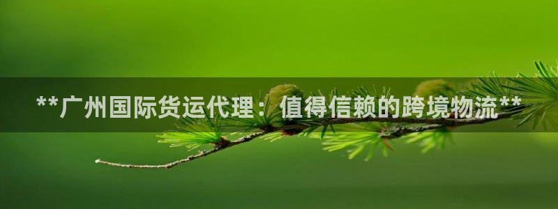 尊龙官网：**广州国际货运代理：值得信赖的跨境物流**