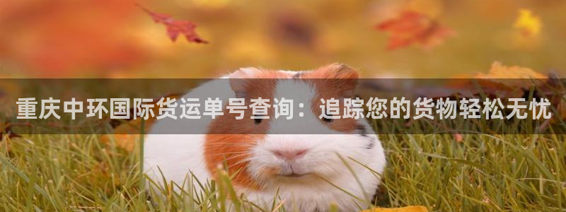 尊龙凯时官方下载：重庆中环国际货运单号查询：追踪您的货物