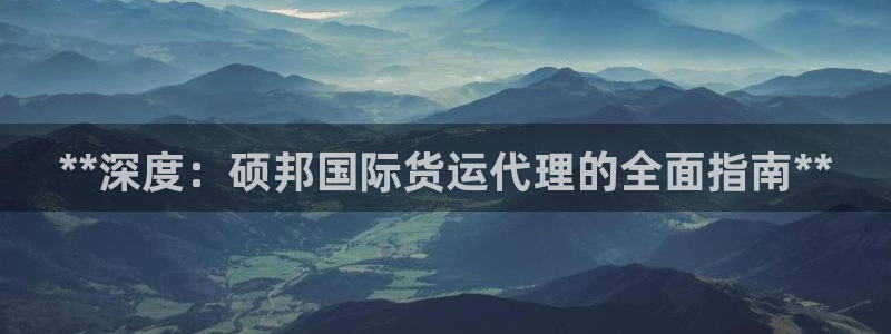Z6尊龙凯时登录：**深度：硕邦国际货运代理的全面指南*