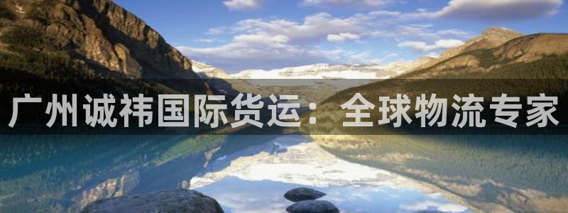 尊龙官方网站：广州诚祎国际货运：全球物流专家