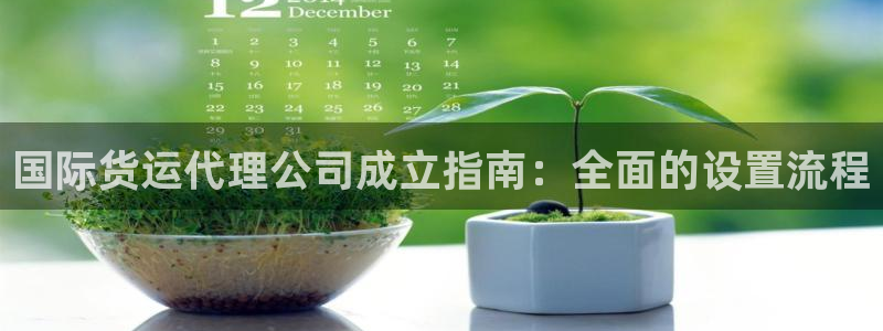尊龙凯时出款：国际货运代理公司成立指南：全面的设置流程