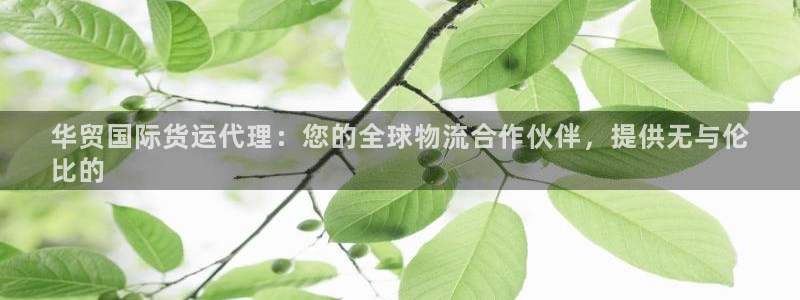 尊龙体育正规么：华贸国际货运代理：您的全球物流合作伙伴，