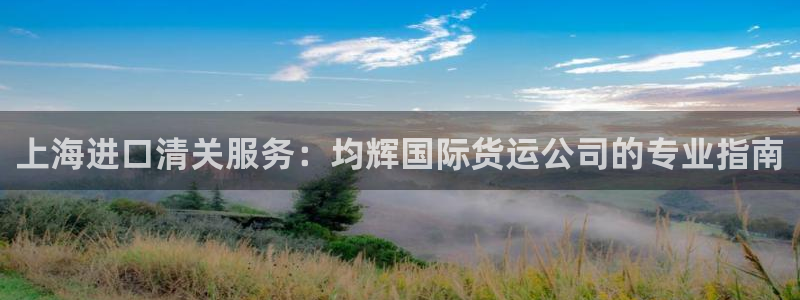 尊龙旗舰厅：上海进口清关服务：均辉国际货运公司的专业指南