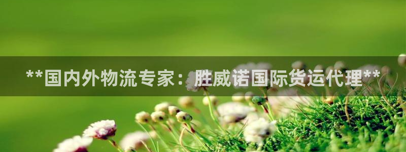 尊龙凯时老板：**国内外物流专家：胜威诺国际货运代理**