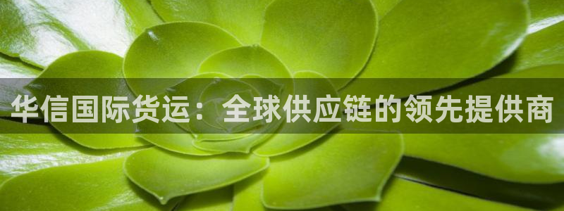 尊龙AG发财网：华信国际货运：全球供应链的领先提供商