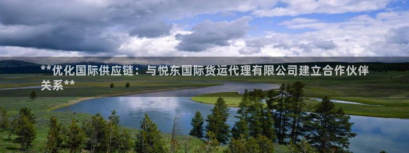 尊龙一人生就是博电子游戏：**优化国际供应链：与悦东国际