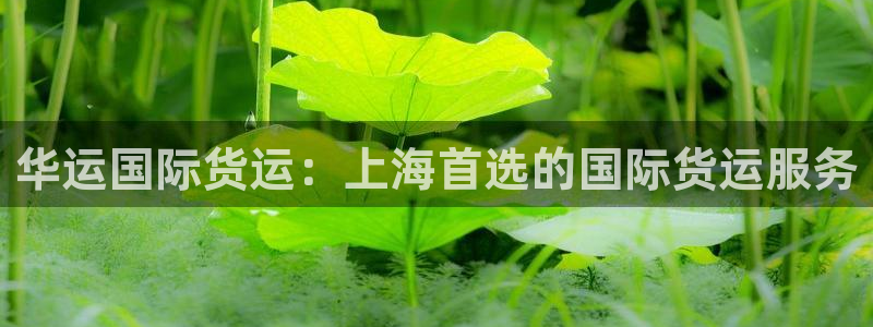 尊龙凯时赢不了：华运国际货运：上海首选的国际货运服务