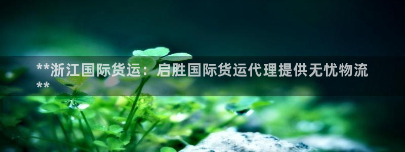 旧版尊龙人生就是博下载