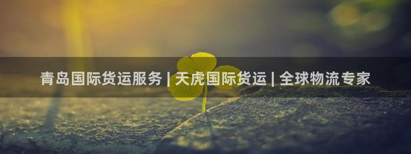 尊龙公司