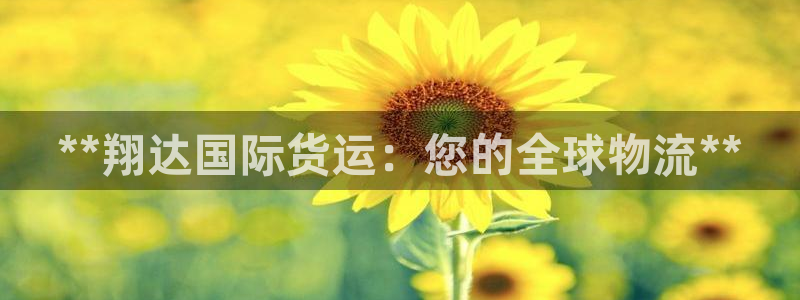 尊龙人生就是博下载：**翔达国际货运：您的全球物流**