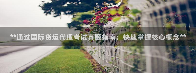 尊龙游戏官网：**通过国际货运代理考试真题指南：快速掌握
