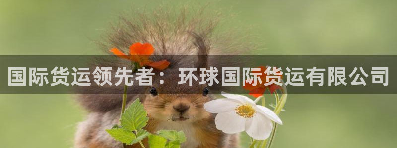 尊龙人生就是博旧：国际货运领先者：环球国际货运有限公司
