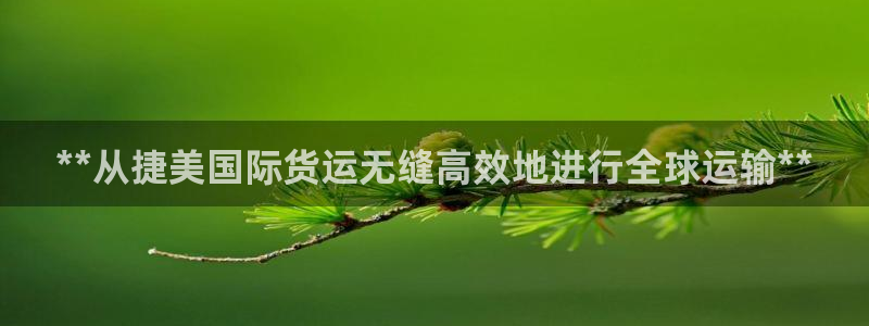 尊龙手机客户端app：**从捷美国际货运无缝高效地进行全