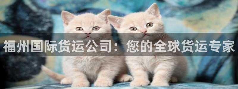 尊龙凯时品牌介绍：福州国际货运公司：您的全球货运专家