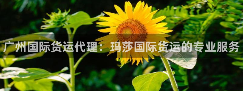 尊龙ktv怎么样：广州国际货运代理：玛莎国际货运的专业服