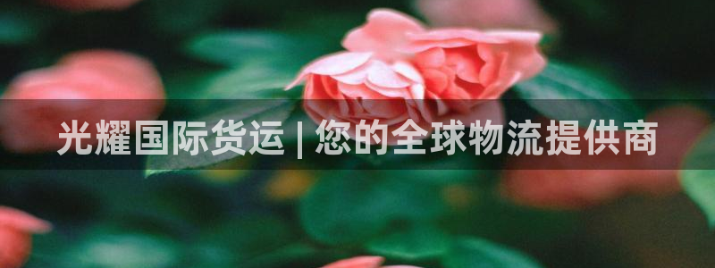 尊龙凯时最新平台登陆：光耀国际货运 | 您的全球物流提供