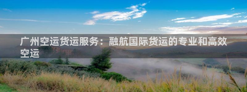 尊龙用现金一下可靠送38元：广州空运货运服务：融航国际货