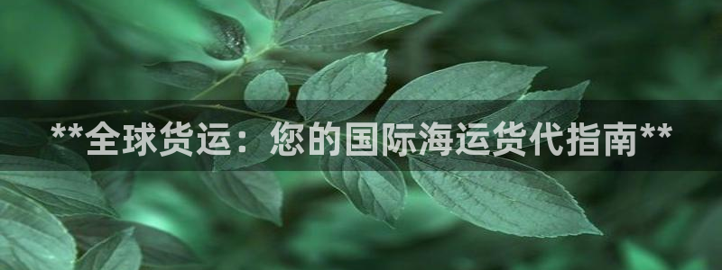 尊龙是什么软件：**全球货运：您的国际海运货代指南**