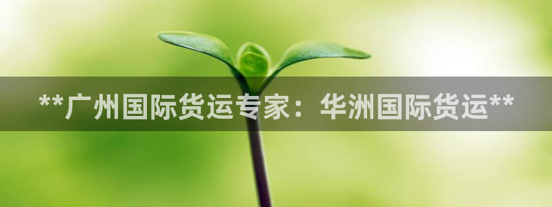 尊龙网页：**广州国际货运专家：华洲国际货运**