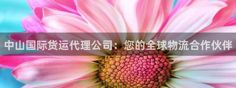 尊龙凯时取款一直支付中