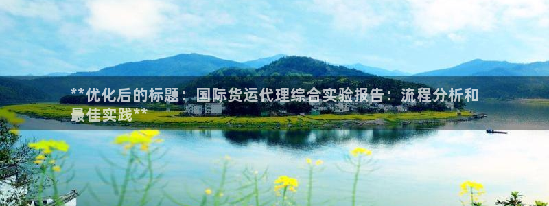 尊龙人生就是博登录：**优化后的标题：国际货运代理综合实