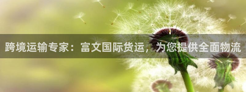 尊龙 5：跨境运输专家：富文国际货运，为您提供全面物流