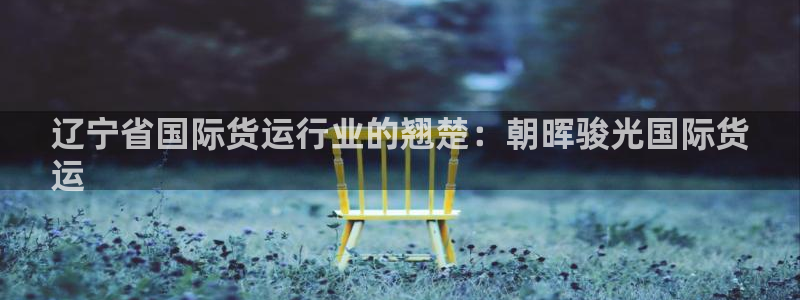 ag旗舰平台尊龙代言