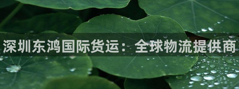 尊龙凯时ag旗舰厅登陆