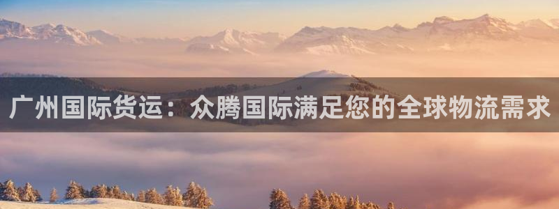 尊龙凯时城娱乐：广州国际货运：众腾国际满足您的全球物流需
