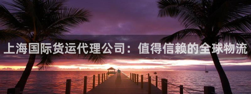 尊龙人生就是博登录首页：上海国际货运代理公司：值得信赖的
