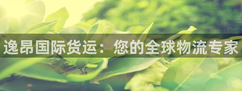 尊龙集团有限公司是国企吗：逸昂国际货运：您的全球物流专家